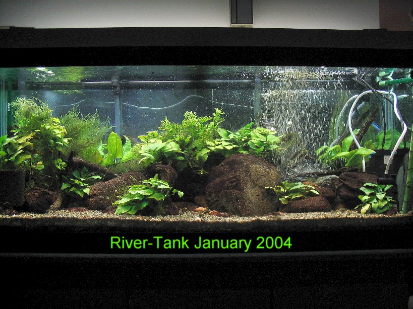 River-Tank - In 2004