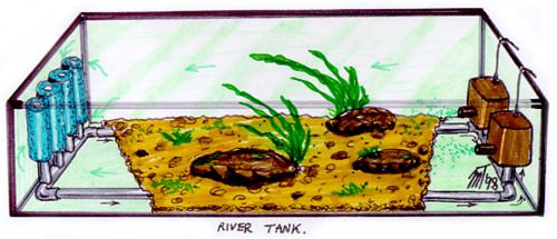 Original River-Tank concept drawing -1998