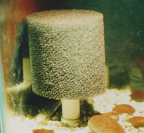 River-Tank Intake Sponge