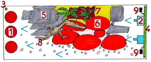 First River-Tank Schematic -PlanView First River-Tank Schematic -PlanView