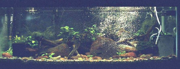 River-Tank setup in Canada