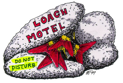 The Loach Almanac