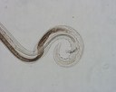 slide 4 - worm hook
