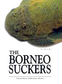 Borneo Suckers