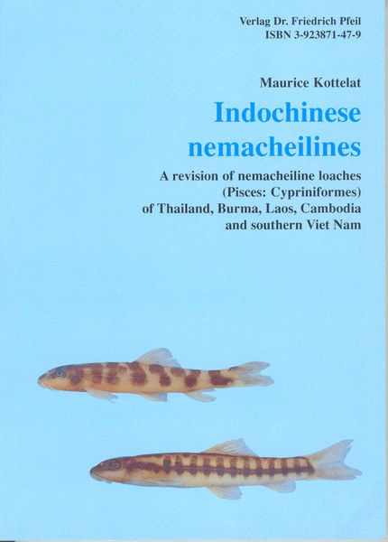 Indochinese Nemacheilines