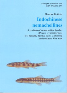 Indochinese Nemacheilines