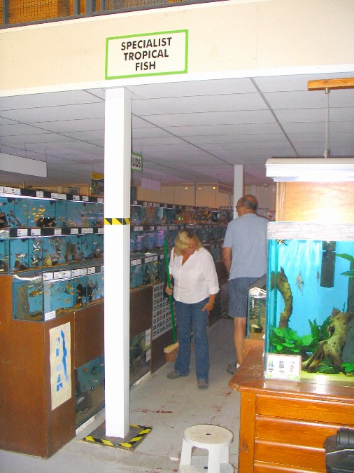 Maidenhead Aquatics - Specialist Fish Section