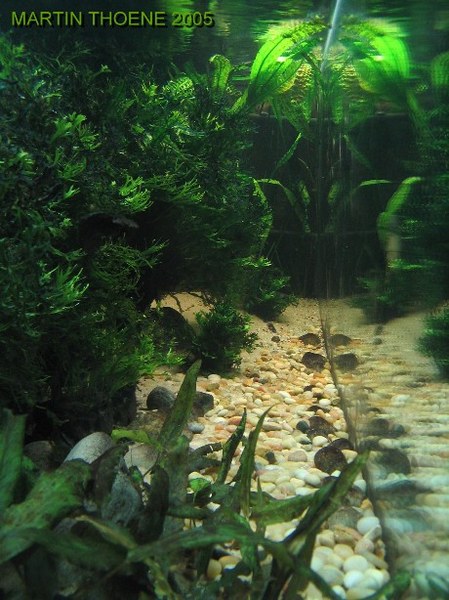 View looking down tank length from left end.