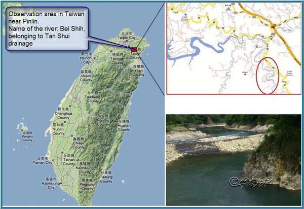 Crossostoma lacustre - locality map