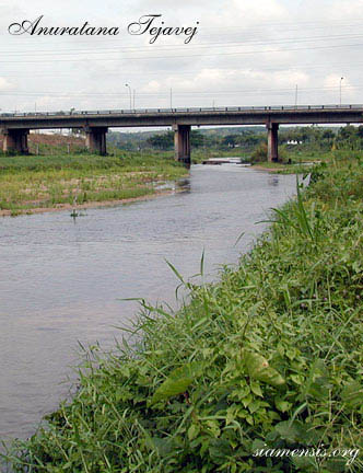 Nemacheilus masyai - Natural habitat