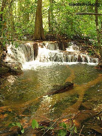 Schistura mahnerti habitat, Thailand